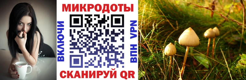 Галлюциногенные грибы Psilocybe  как найти закладки  Онега 
